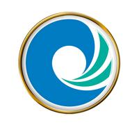 Incheon ( Corea Del Sud ) Spilla