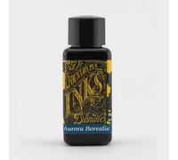 Diamine Inchiostro per penna stilografica, 30 ml, Aurora Borealis