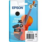 Inchiostro Epson Singlepack Black 250XL