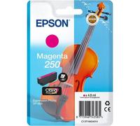 Epson 250 Cartuccia d'inchiostro magenta Originale C13T16N34010