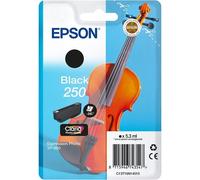 Epson 250 Cartuccia d'inchiostro nero Originale C13T16N14010