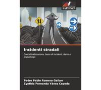 Incidenti stradali: Concettualizzazione, tasso di incidenti, danni e sopralluogo