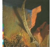 incl. Massive Attack Remix (CD Album Nusrat Fateh Ali Khan, 11 Tracks)