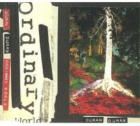 incl. My Antarctica - Save A Prayer - The Reflex (Nile Rodgers Remix) (CD Single Duran Duran, 4 Tracks)