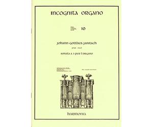 Incognita Organo 10 - Buch