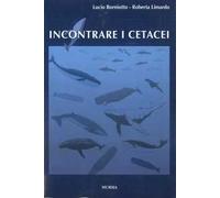 Incontrare i cetacei