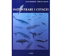 Incontrare i cetacei