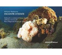 Incontri d'estate: molluschi e crostacei di basso fondo nell'area marina del Parco Riviera di Ulisse