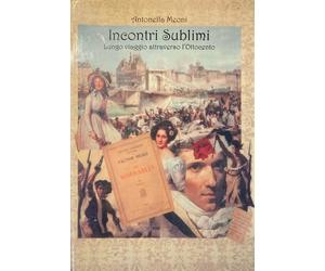 Incontri sublimi. Lungo viaggio attraverso l'Ottocento - [Fox&Sparrows Edizioni]