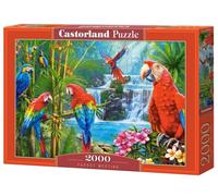 Incontro di Pappagalli Puzzle 2000 Pezzi