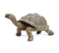 Incredibili Creature 260729 Tartaruga Adulta Galapagos Figura Safari 60729