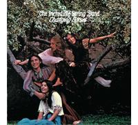 Incredible String Band,the - Changing Horses