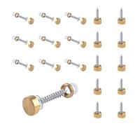 INCREWAY 20 viti a specchio dorate, chiodi a specchio spazzolati da 10 mm, tappi decorativi in rame puro, fissaggio sicuro per specchi da bagno, tavoli in vetro e mobili