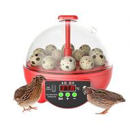 Incubator for Chicken Eggs | 6-Slot Candler Box | Clear Window Incubator for Eggs with Automatic Temperature and Humidity Control,for Chicken Duck Quail Bird Farm