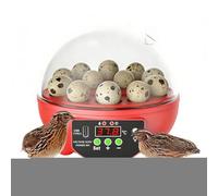 Incubatore Dee UovaPer Incubare: Visualizzazione Chiara Per Uova Dee Gallina, DeeControl Automatico Umidità DeePrecisione, Volante Automatico Uova, Incubatrice DeeUova Per