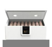 Incubatore di uova di quaglia - Dispositivo di schiusa di pollame digitale, macchina di trasformazione automatica | Regolatore di temperatura intelligente, riscaldamento a letto ad acqua per corridore
