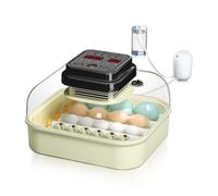 Incubatrice automatica 16 uova per pollame e uccelli Umidità Temperatura Stabile