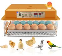 Incubatrice automatica 36 uova per pollame e uccelli 5 modalità Hethya
