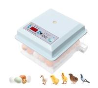 Incubatrice automatica per 16 uova, per uova di gallina e uccello, 3 in 1 | Rullo girevole a 360°, regolabile da 15 a 40 °C, trasparente, luce fredda, per uova di gallina e uccello