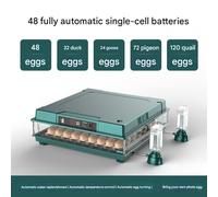Incubatrice Automatica Per 6 - 64 Uova Di Gallina Pulcini Incubazione Covatrice