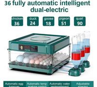 Incubatrice Automatica Per Uova Con Rifornimento Automatico Ad Acqua Per 24 Uova