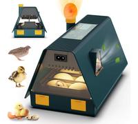 Incubatrice automatica per uova con rotazione automatica e display digitale, candela LED e finestra di visualizzazione trasparente per la cova del pollame