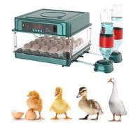 Incubatrice automatica per uova da cova, cova digitale con controllo della temperatura e dell'umidità, tornitore automatico per pollo, anatra, quaglia, oca, capacità 48 uova