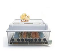 Incubatrice Automatica Per Uova, Schiusa Per Pollame Da 6-48 Uova Con Controllo Della Temperatura, Girauova Automatico E Controllo Dell'umidità, Con Candela LED Per Uso Domestico E Agricolo(152)