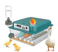 Incubatrice completamente automatica Incubatrice per uova completamente automatica per incubatrice da 16-40 uova con display automatico dell'umidità per rotazione delle uova 12V/220V 16-40eegs