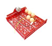 Incubatrice da 20 uova Gira il vassoio delle Tester for automaticamente le Attrezzatura didattica sperimentale Tensione 220 V / 110 12(1I240 rpm 110V motor)