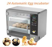 Incubatrice da 24 uova con tipo a cassetto tornitore automatico completo dell'incubatrice con monitor tattile automatico per il controllo della temperatura delle gambe 24 Eggs