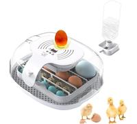 Incubatrice digitale per 16 uova, tornitore automatico e controllo preciso della temperatura, da tavolo, per uova di pollo, quaglia e anatra