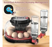 Incubatrice per 12 uova da cova, visualizzazione della temperatura e dell'umidità, visione a 360°, aggiunta automatica di acqua, incubatrice con speratura per la schiusa di uova di gallina, anatra e q