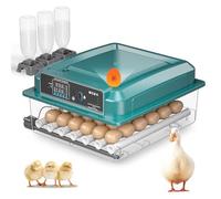 Incubatrice per 36 uova completamente automatica, incubatore, con girauova automatico e aggiunta d'acqua e regolazione della temperatura, scomparto per uova regolabile, funzione di illuminazione delle