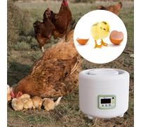 Incubatrice Per Multiuso Con Display Digitale A Letto Ad Acqua Per Uccelli