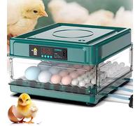 Incubatrice per uova 24/36 con cassetto incubatrice per uova con intellimento automatico del letto d'acqua onico dell'acqua e controllo della temperatura