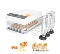 Incubatrice per Uova Automatica, 24 Uova Incubatrice, Controllo Temperatura e Umidità, Riempimento Automatico Dell'acqua, Lampada Uova, Visione a 360°, Cova di Polli, Anatre, Tacchini, Uccelli