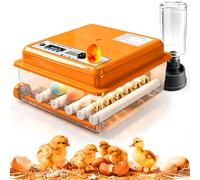 Incubatrice Per Uova Automatica Di Gallina, Incubatrice Uova Con Rotazione & Controllo Della Temperatura & Aggiunta Di Acqua | Lampada, Per Galline, Quaglie & Anatre