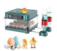 Incubatrice per Uova Automatica, Incubatrice Completamente Automatica per 12-16 Uova, con Rotazione Automatica delle uova e Umidificazione Automatica, Controllo della Temperatura, per Quaglia, Anatra