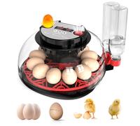 Incubatrice per Uova Automatica, Incubatrice da 12 Uova con Tornitura Automatica delle Uova e Umidificazione Automatica, Incubatrice per Anatra Fattoria e Casa Uova di Gallina, Quaglia