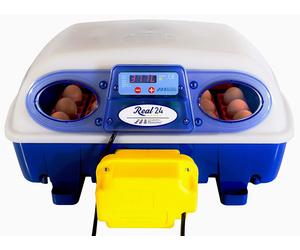 Incubatrice per Uova Automatica Professionale Borotto Real 24