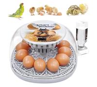 Incubatrice per uova con tornitore automatico e controllo dell'umidità della temperatura per polli, anatre e oche, capacità 12 uova (110 V)