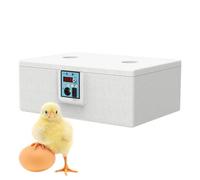 Incubatrice per uova d' , incubatrici per uova da cova, controllo intelligente della temperatura, umidità regolabile e di ventilazione, eccellente per laboratori, aule scientifiche e