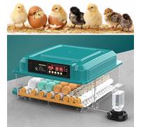 Incubatrice per Uova da Schiudere, Incubatrice Automatica con Controllo di Temperatura e Umidità - Schiusa per Polli, Anatre, Quaglie e Oche(48 Eggs)