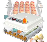 Incubatrice per Uova, Incubatrice per 6 Uova, Incubatrice per Uova con Giramento Automatico delle Uova e Monitoraggio dell'Umidità della Temperatura, per Polli Anatre Oca Altri