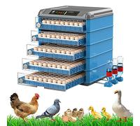 Incubatrice per Uova per Galline da Cova, Incubatrice Automatica per Uova con Controllo della Temperatura, Incubatrice per Macchina da Cova per Pollame con Vista a 360° per Uccelli di Gallina da Cov