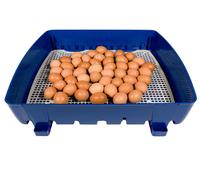 Incubatrice per Uova Semi Automatica Professionale Borotto Real 49