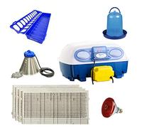 Incubatrice Real 24 Automatica Borotto + Kit Svezzamento | Made in Italy