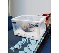 Incubatrice trasparente con ruote per ossigenoterapia e parto, ideale per cuccioli, gattini e piccoli animali