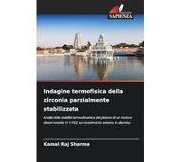 Indagine termofisica della zirconia parzialmente stabilizzata: Analisi della stabilità termodinamica del pistone di un motore diesel rivestito in Y-PSZ sul rivestimento adesivo in allumina
